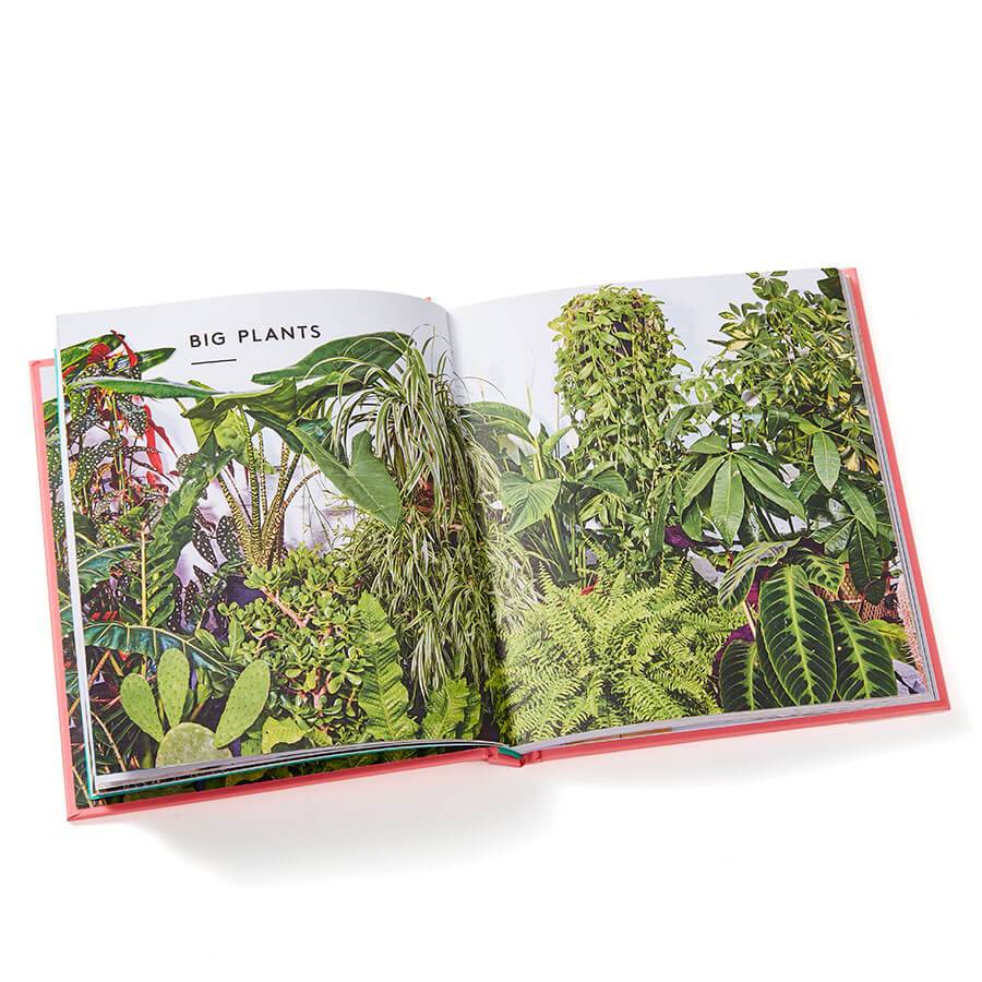 The Little Book, Big Plants